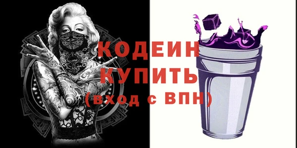 СК Няндома
