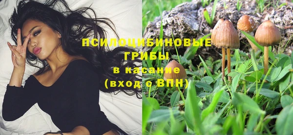 Альфа ПВП Нязепетровск